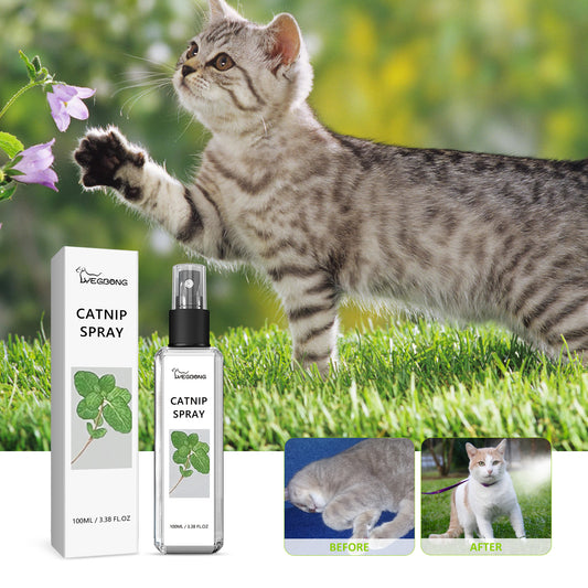 GDBadais Catnip Spray, Relieve Cat Anxiety And Enhance Pet Vitality Health Care Spray