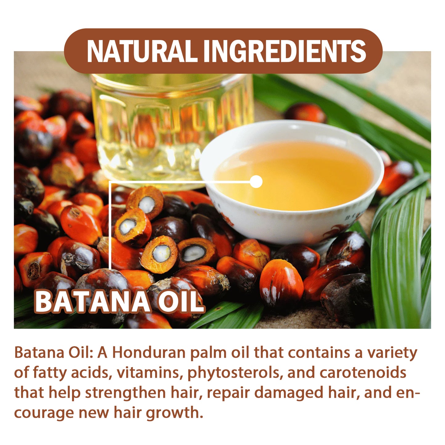 GDBadais Batana Oil Conditioner Moisturizes, Hydrates, Improves Dry Hair, Softens And Fluffs Hair Care